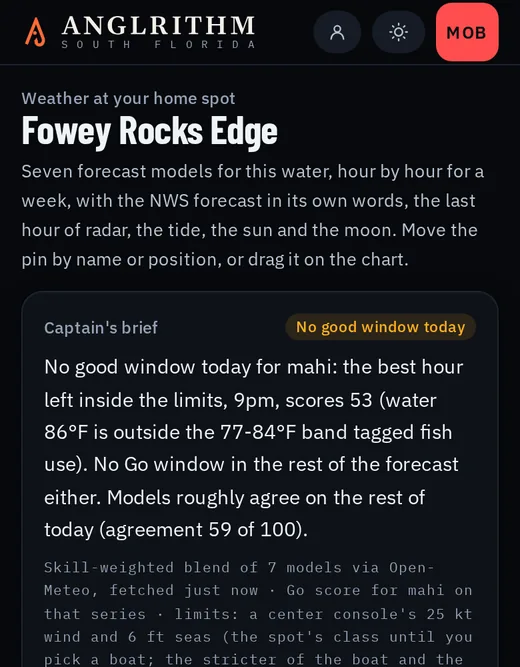 The captain's brief: the day's best hour, the models' agreement and the model closest to the live station